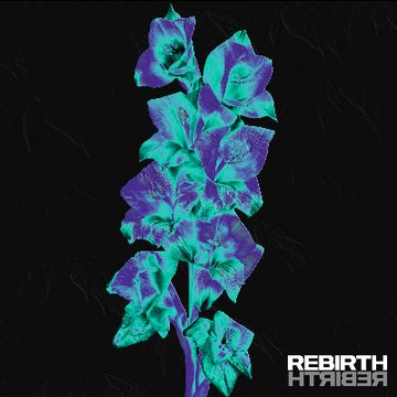 (Production, Mixing and Mastering) Rebirth by hape.