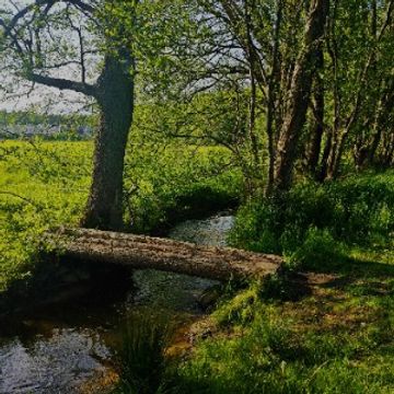 JumpWall.demo by N0rhty_