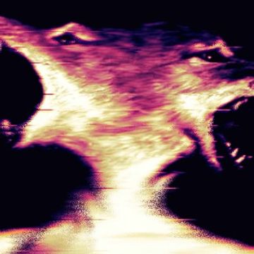 Muzzle.wav by Brooke Lever