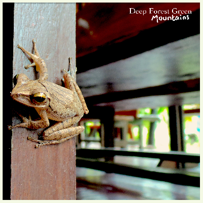 Deep Forest Green - Mountains.mp3 by Original version