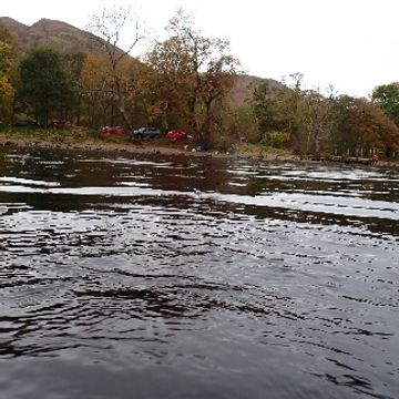 Robins.mp3 by Jackie Hird