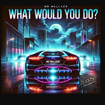 WHAT WOUD YOU DO by MR WALLLKER