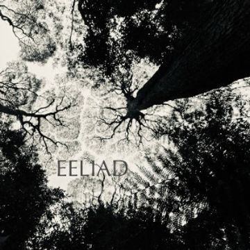EELIAD Medley by EELIAD