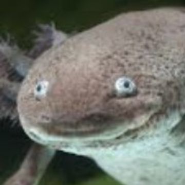 LANDR-cinq-Reference-Low.mp3 by Simon