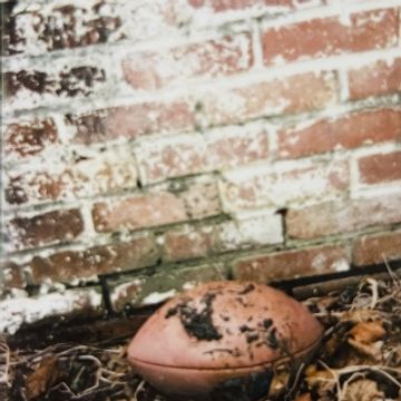 Prison head by XO Jane