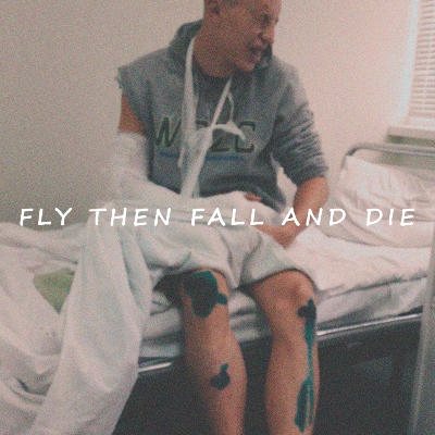 Fly then fall and Die by Daedr1k