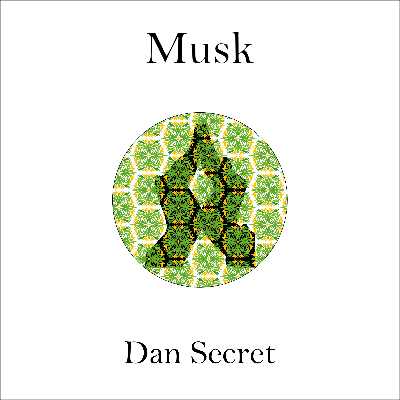 Musk by Dan Secret