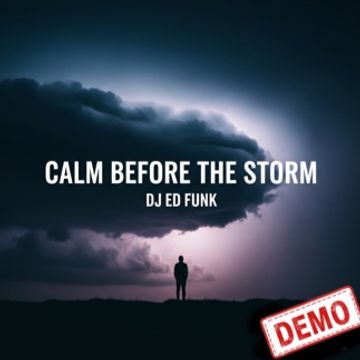 Calm Before The Storm by DJ Ed Funk