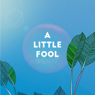 A Little Fool by George Platt