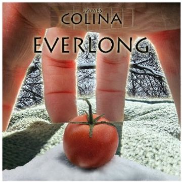 #1 Foo Fighters-Everlong (cover) James Colina-Warm-Low.wavg by James