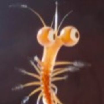 Wav_24.wav.wav by Joe Waterfall