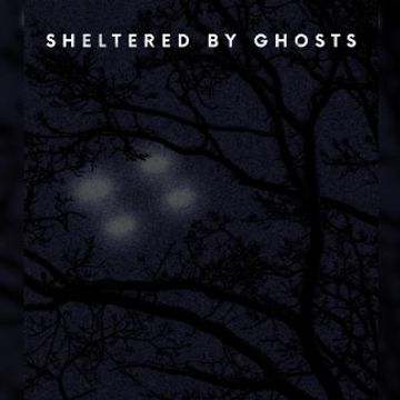 What We Have Become by Sheltered By Ghosts