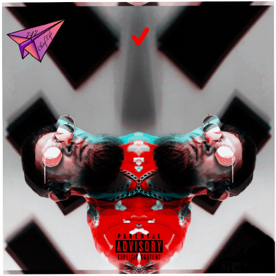 Check (freestyle)