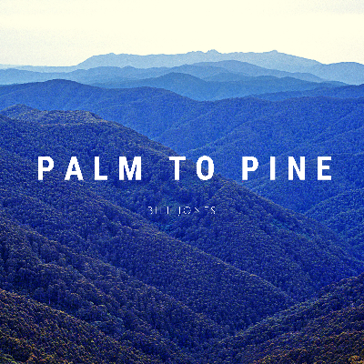 Palm to Pine.wav by Bill Jones