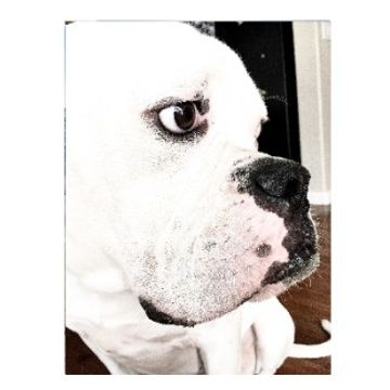 Drooling For Your Love by DFM.NC
