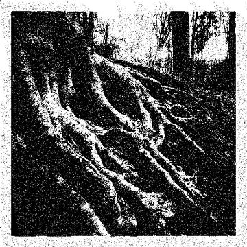 Transcending in C by Bernard Steen