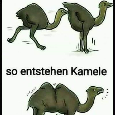 BeetlejuiceHC.mp3 by John Coffee