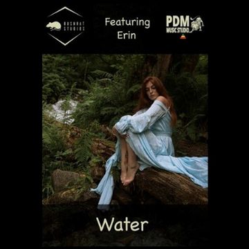 WATER PROMO.mp3 by Bushrat Studios - Erin - written by Bushrat