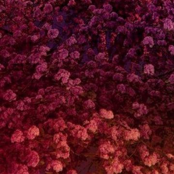 You to Me by Monet