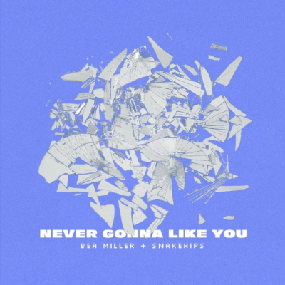 01 Never Gonna Like You.m4a by Final Mix, Production, & Master
