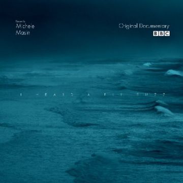 I Heard A Fly Buzz (Original Documentary Soundtrack).wav by Michele Masin