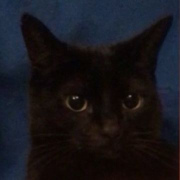 dix-sept.wav by Joe Waterfall