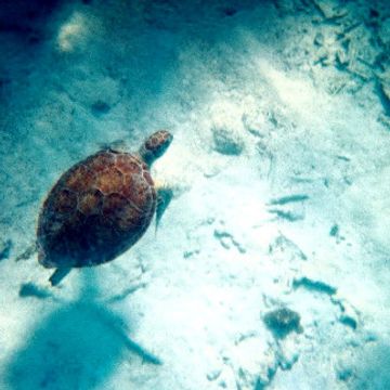 SONG0092 (120,134 BPM, Amaj).WAV by Jason Hyshka (Hy$hi)