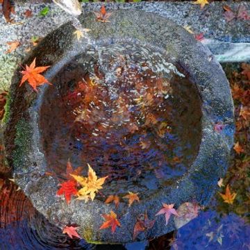 Autumn by Zadopane