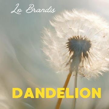 Dandelion by Lo Brandis