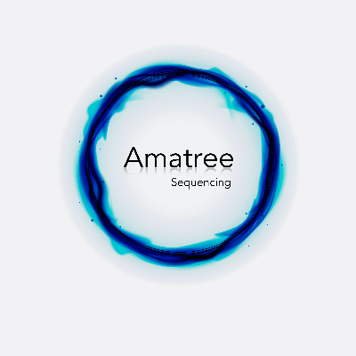 Sequencing.mp3 by Amatree