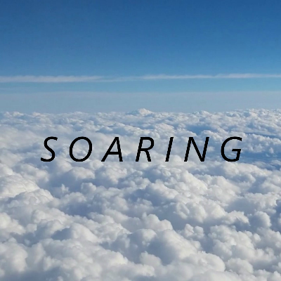 Soaring by Charles E. Davis