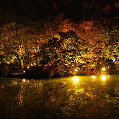 Autumn in Beautiful Colors Kyoto(JP) Botanical Gardens movie theme by Shinji Wakasa
