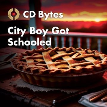 135-0-CITY-BOY-GOT-SCHOOLED.wav by CD Bytes