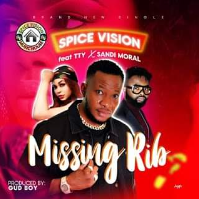 MISSING RIB - Spice Vision ft Tty and Xandra Moral.wa
