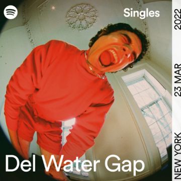Complicated by Del Water Gap