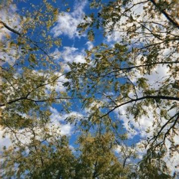 just the beginning by eliot