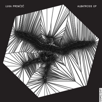 Floor (Albatross EP) by Luka Prin?i?