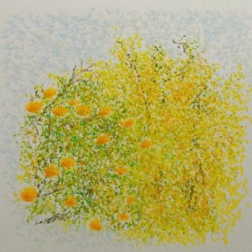 turn out air by Tiger.A.