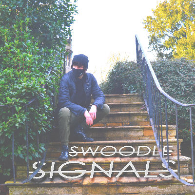 Signals by Swoodle