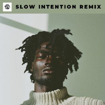 Slow Intention Remix.wav by RMSOUL