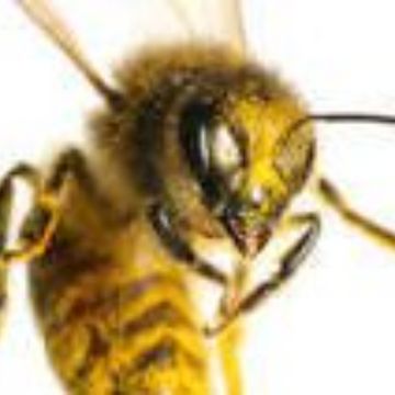 Your Eyes by bkd1000@outlook.com