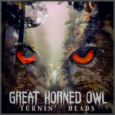 Great Horned Owl