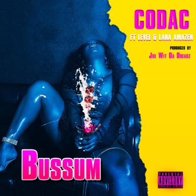 Codac - "Bussum" by Final