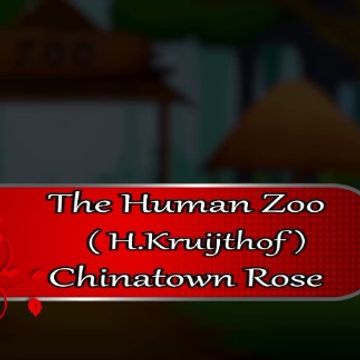 The Human Zoo.wav by Henk Kruijthof