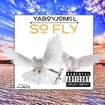 So Fly by YaBoyJomel