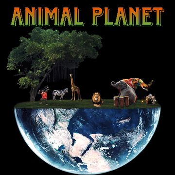 Birds & Bees by Animal Planet