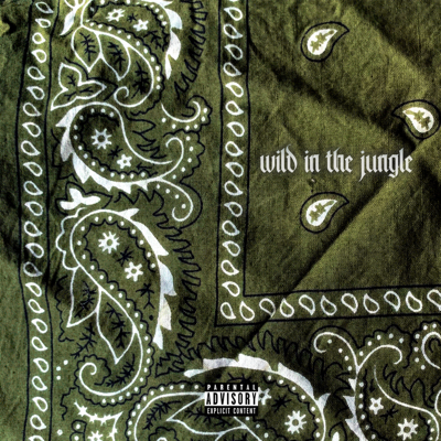 Broadway Dolla - Wild In The Jungle ft. Loki B.wav
