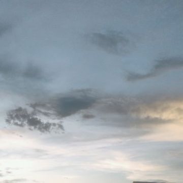 2023_11_16 - 04_36_35 PM.ogg by boagobg