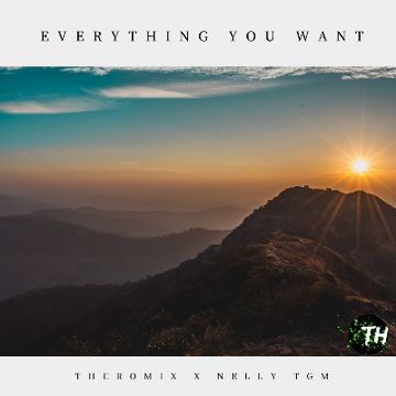 Theromix - Everything You Want (feat. NELLY TGM).wav by Theromix