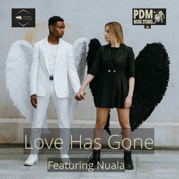 LOVE HAS GONE - PROMO by Bushrat Studios - Nuala - written by Bushr